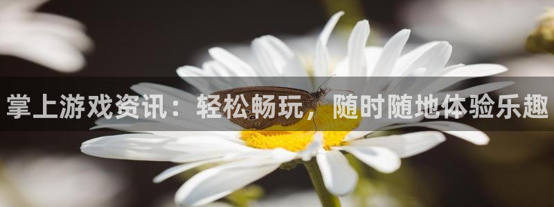 长征娱乐平台登陆：掌上游戏资讯：轻松畅玩，随时随地体验乐趣
