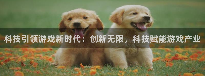 长征娱乐网址官网：科技引领游戏新时代：创新无限，科技赋能游戏
