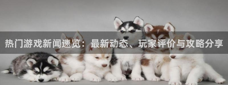 长征娱乐注册：热门游戏新闻速览：最新动态、玩家评价与攻略分享