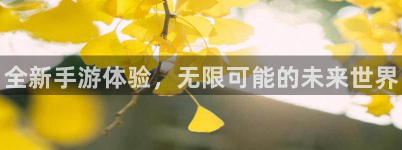长征娱乐线路测试：全新手游体验，无限可能的未来世界