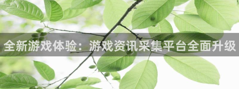 长征娱乐平台官网注册：全新游戏体验：游戏资讯采集平台全面升级