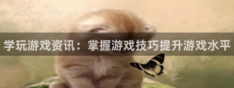 长征娱乐怎么注册：学玩游戏资讯：掌握游戏技巧提升游戏水平