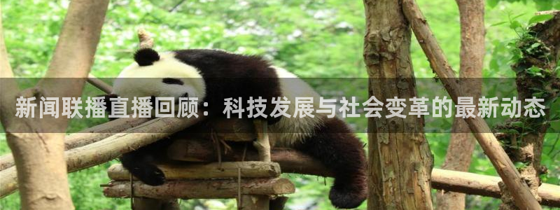 球神体育在线直播：新闻联播直播回顾：科技发展与社会变革的最新动态